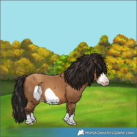 Horse Color:Gray Amber Champagne Frame 