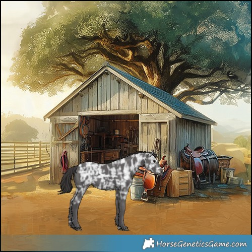 Horse Color:Smoky Black Ice Rabicano 