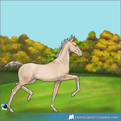 Horse Color:Palomino Pearl 