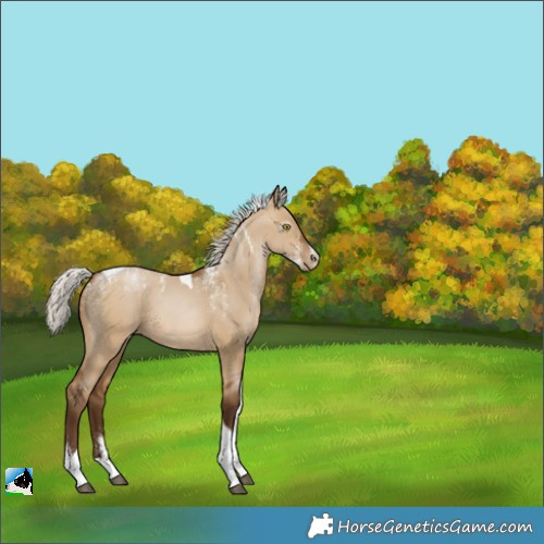 Horse Color:Powder White Gray Silver Bay Pearl Dun Tobiano