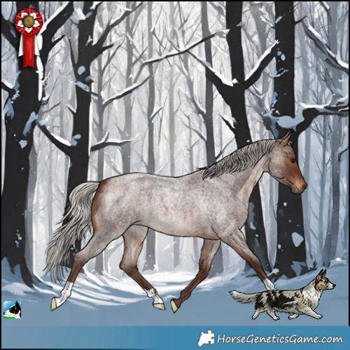 Horse Color:Silver Brown Roan