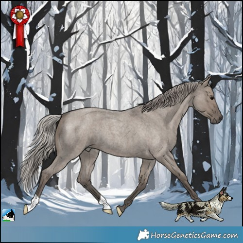 Horse Color:Silver Grullo Roan 