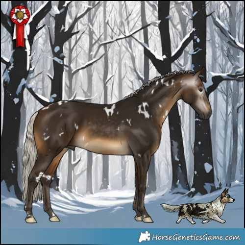 Horse Color:Gray White Spotted Silver Buckskin 