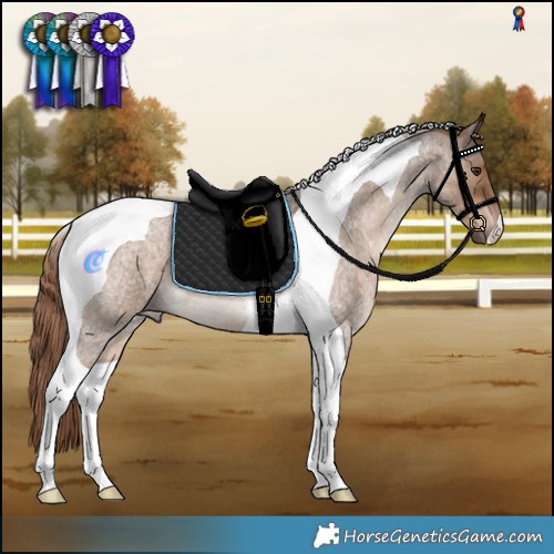 Horse Color:Liver Red Dun Roan Tobiano