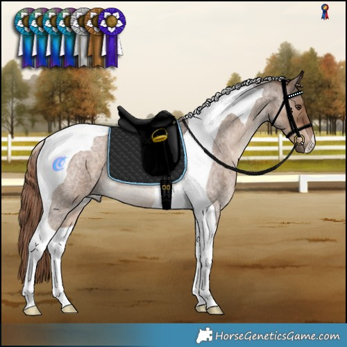 Horse Color:Liver Red Dun Roan Tobiano 