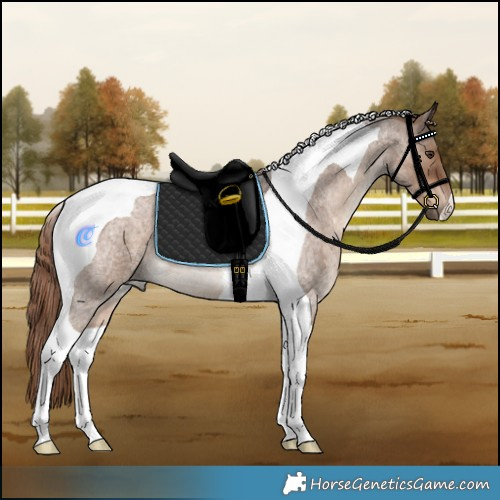 Horse Color:Liver Red Dun Roan Tobiano 