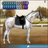 Horse Color:Liver Red Dun Roan Tobiano 