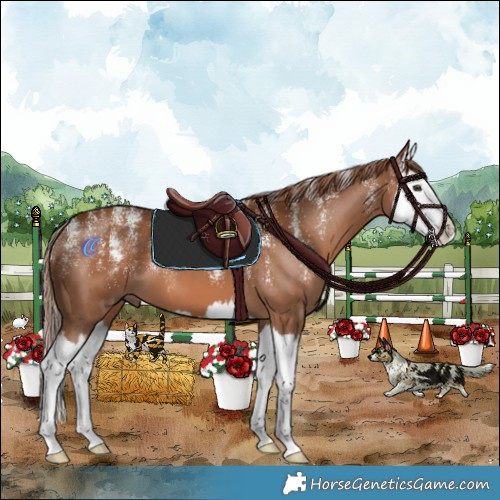 Horse Color:Powder White Chestnut Splash 