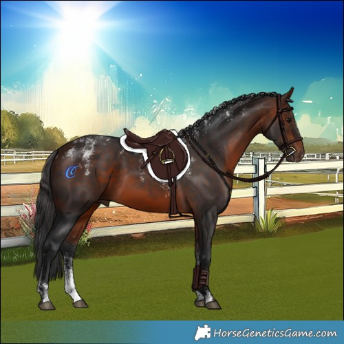 Horse Color:Powder White Bay 