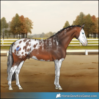 Horse Color:Powder White Bay Splash Blanket 