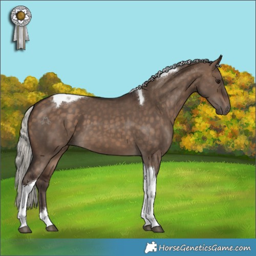 Horse Color:Silver Brown Dun Tobiano