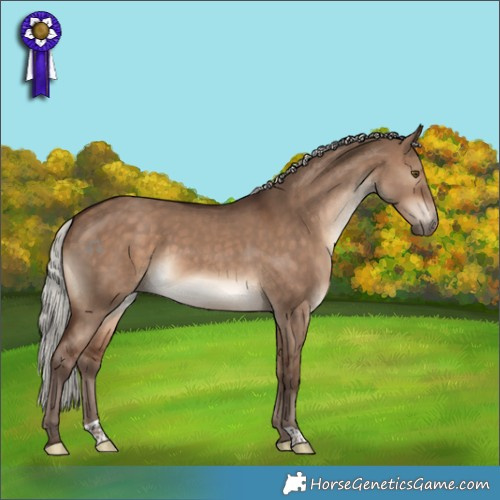 Horse Color:Silver Bay Dun
