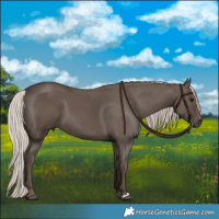 Horse Color:Silver Black 