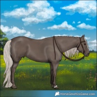 Horse Color:Silver Black 