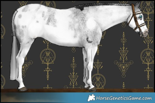 Horse Color:White Spotted Blue Roan Splash Frame Blanket 