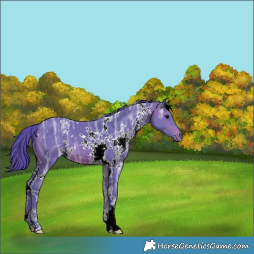 Horse Color:Watercolor White Spotted Brown Ice