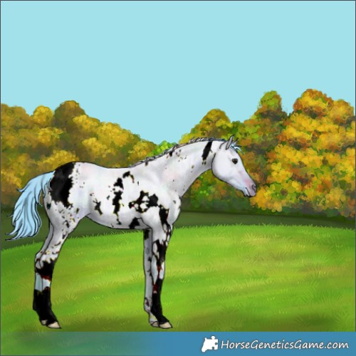 Horse Color:Nacre Watercolor White Spotted Brown Ice Dun 