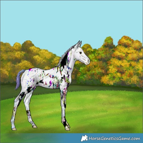 Horse Color:Nacre Watercolor White Spotted Brown Ice Dun 