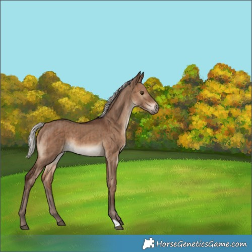 Horse Color:Silver Brown Dun Brindle