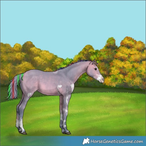 Horse Color:Painted Watercolor White Spotted Bay Splash 