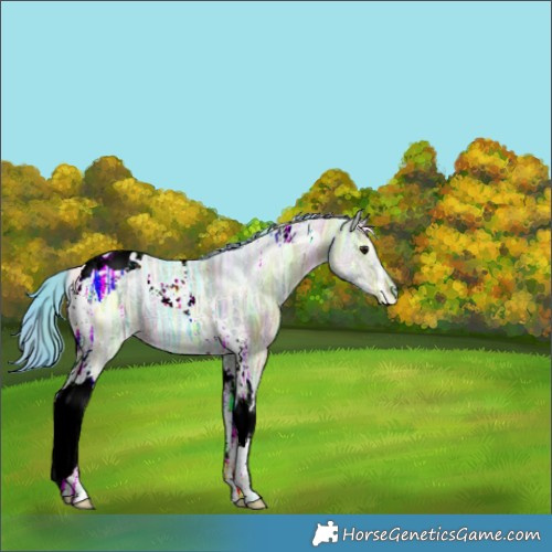 Horse Color:Nacre Watercolor Brown Ice Dun Tobiano 
