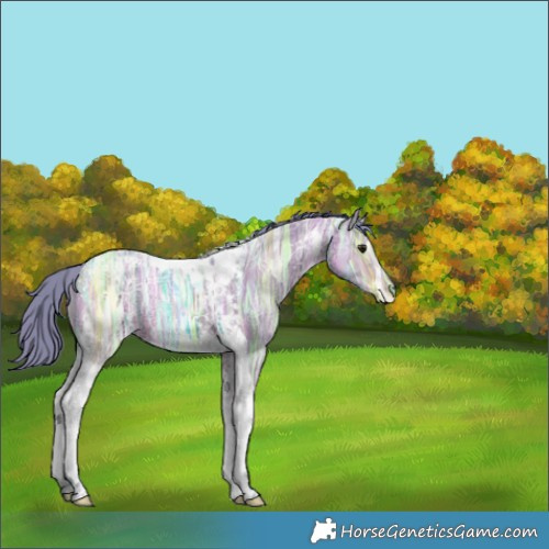 Horse Color:Watercolor Brown Ice Dun Tobiano 