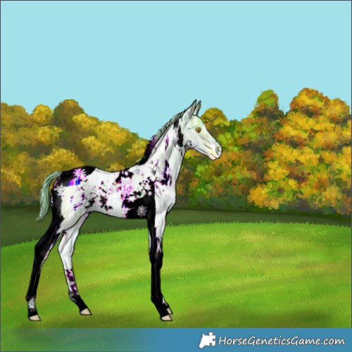 Horse Color:Watercolor White Spotted Brown Ice Pearl Dun Tobiano 