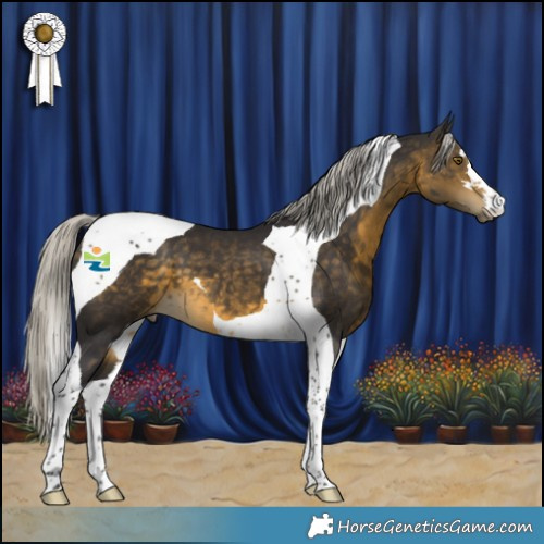 Horse Color:Silver Buckskin Tobiano 