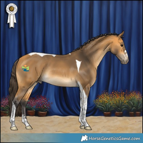 Horse Color:Buckskin Tobiano Rabicano 