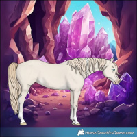 Horse Color:Smoky Creme Dun Tobiano 