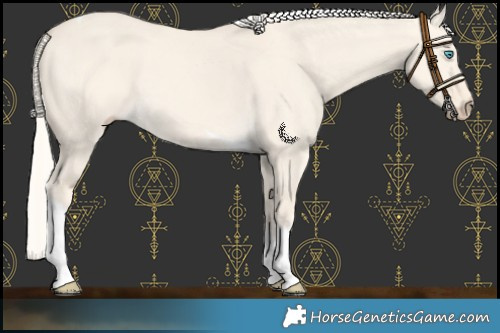Horse Color:Cremello Dun Tobiano 