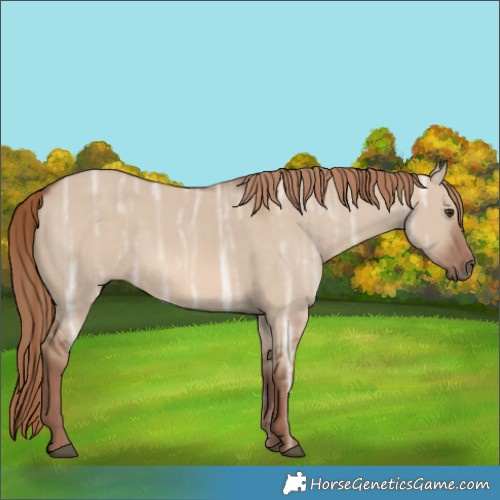 Horse Color:Red Dun Ice 