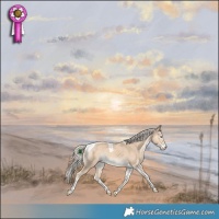 Horse Color:Cremello Tobiano Rabicano
