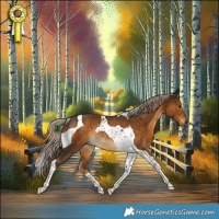 Horse Color:Chocolate Palomino Tobiano Rabicano