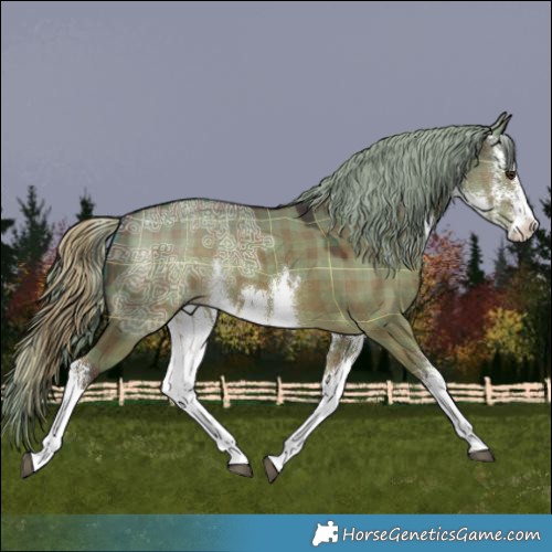 Horse Color:Plaid  White Spotted Liver Red Dun Ice 