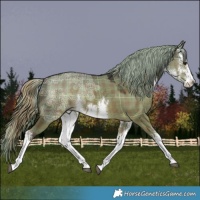 Horse Color:Plaid  White Spotted Liver Red Dun Ice 