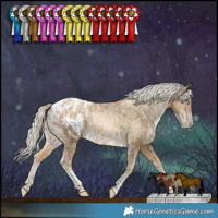 Horse Color:White Spotted Chocolate Palomino Snowdrop Tobiano Appaloosa and Silver Buckskin Snowdrop Tobiano Appaloosa