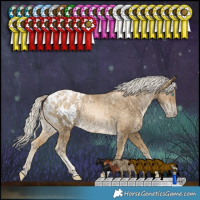 Horse Color:White Spotted Chocolate Palomino Snowdrop Tobiano Blanket  and Silver Buckskin Snowdrop Tobiano Blanket 