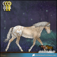 Horse Color:White Spotted Chocolate Palomino Snowdrop Tobiano Appaloosa  and Silver Buckskin Snowdrop Tobiano Appaloosa 