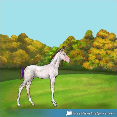 Horse Color:Gray Painted Perlino Ice Roan Tobiano