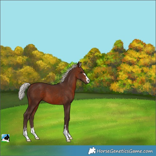 Horse Color:Silver Brown 