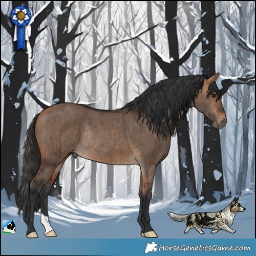 Horse Color:Bay Dun Rabicano Brindle 