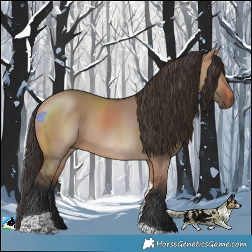 Horse Color:Bay Dun Tobiano 