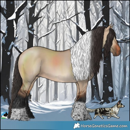 Horse Color:Bay Dun Tobiano 