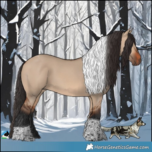 Horse Color:Bay Dun Tobiano 