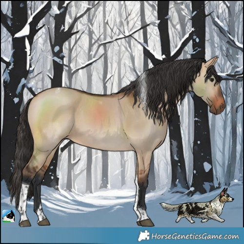 Horse Color:Bay Dun Tobiano 