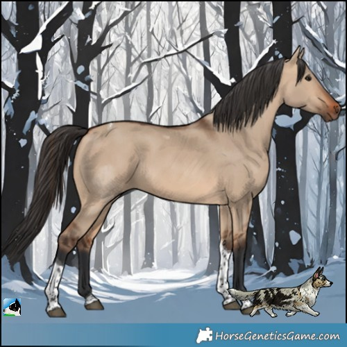 Horse Color:Bay Dun Tobiano 