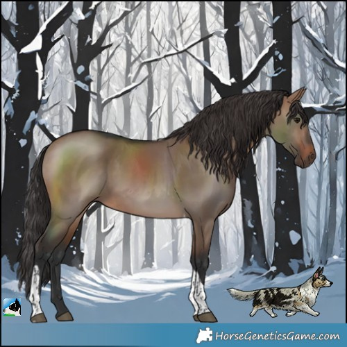 Horse Color:Brown Dun Tobiano 