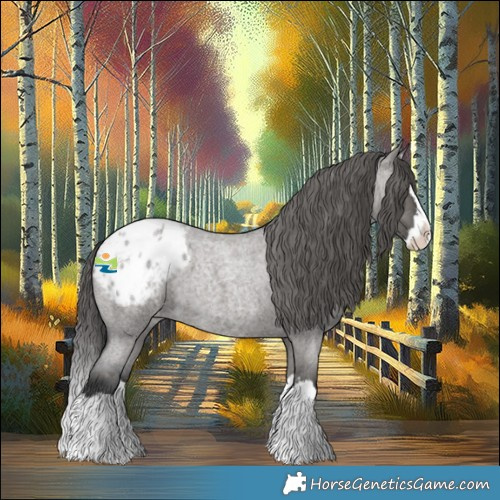 Horse Color:Grullo Roan Splash Appaloosa 