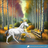 Horse Color:Liver Chestnut Sabino Splash Appaloosa 